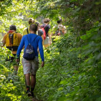 TRINITY OPEN DAY – KOŠUTNJAK