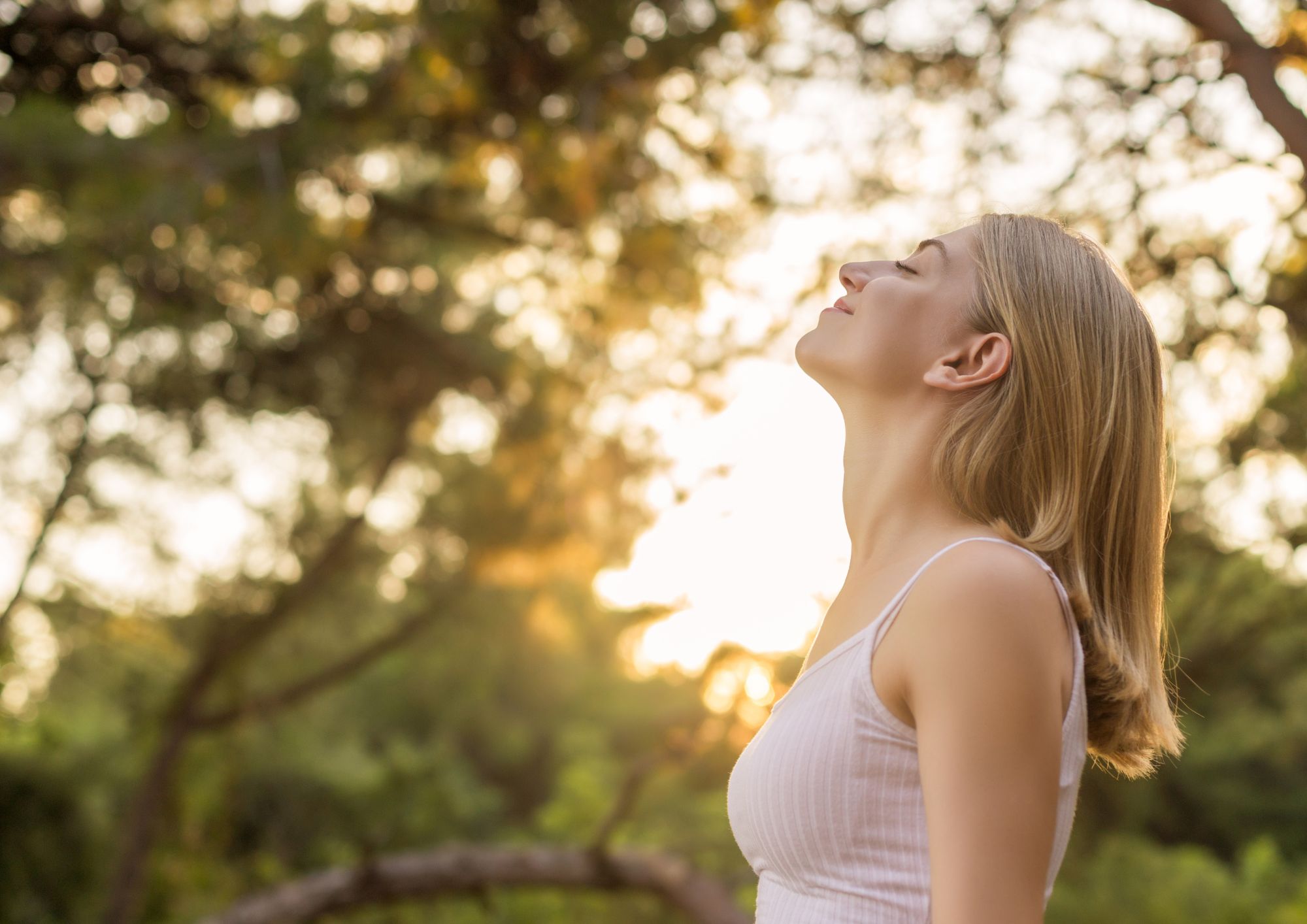 LIMFNI RESET – Trinity Nature