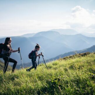 Silent tour Fruška gora