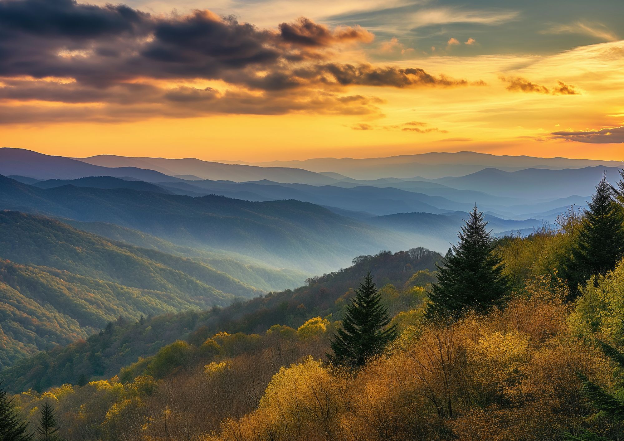 Trinity Anniversary Rajac