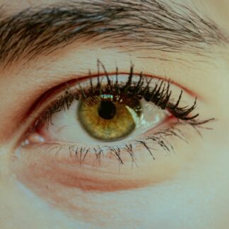 Kosmaj Eye-Gazing Tour