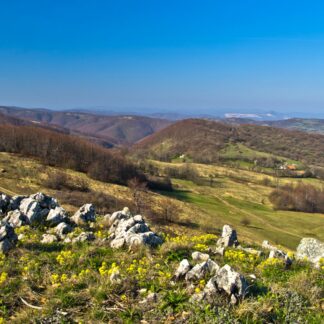 Homoljske planine Monastery tour