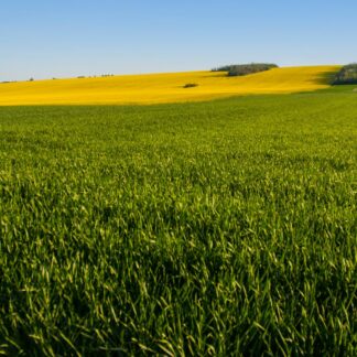 Deliblato - Family Tour