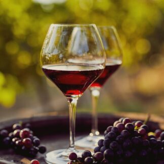 Bukulja Hike and Wine #3