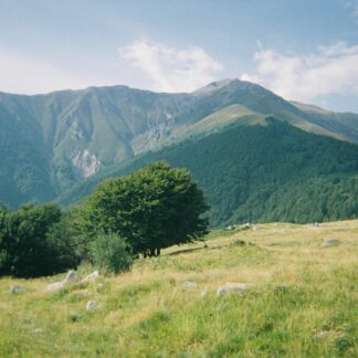 Maljen i Ribnica -  Monastery #3