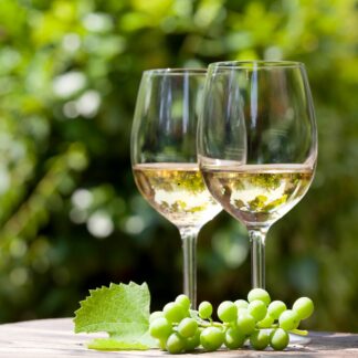 Hike and wine Vršački breg i vinarija Galot NOVI DATUM