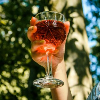 Hike and wine Vršački breg i vinarija Galot