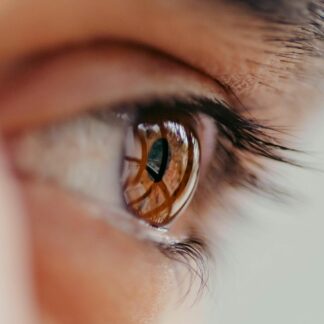Kosmaj Eye-Gazing
